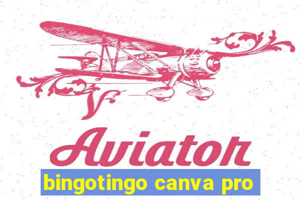 bingotingo canva pro